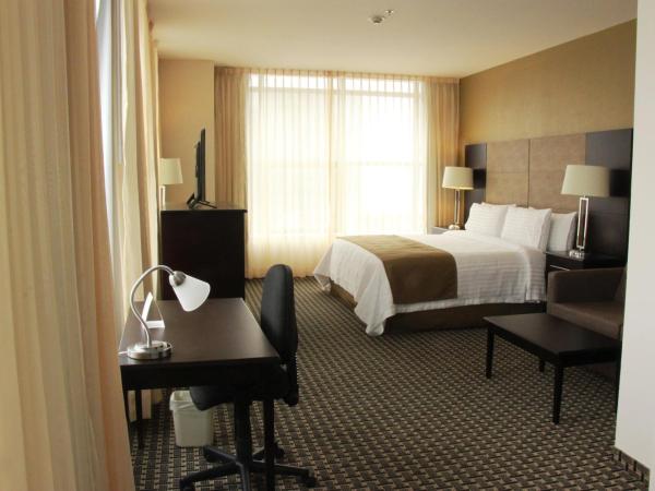 Holiday Inn Mexico Santa Fe, an IHG Hotel : photo 4 de la chambre suite lit king-size