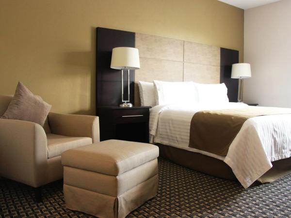 Holiday Inn Mexico Santa Fe, an IHG Hotel : photo 2 de la chambre chambre lit king-size standard