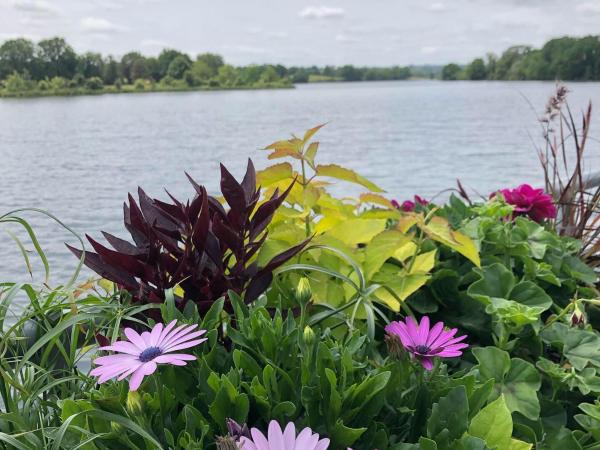 Au Rez de Jardin : photo 8 de la chambre appartement - vue sur jardin