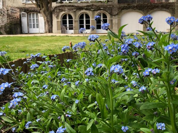 Au Rez de Jardin : photo 9 de la chambre appartement - vue sur jardin