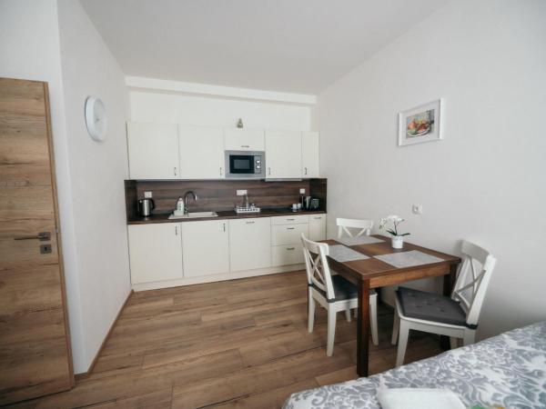 Vila Jáchymov : photo 9 de la chambre appartement