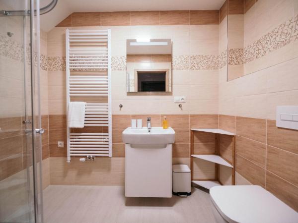 Vila Jáchymov : photo 8 de la chambre appartement 2 chambres