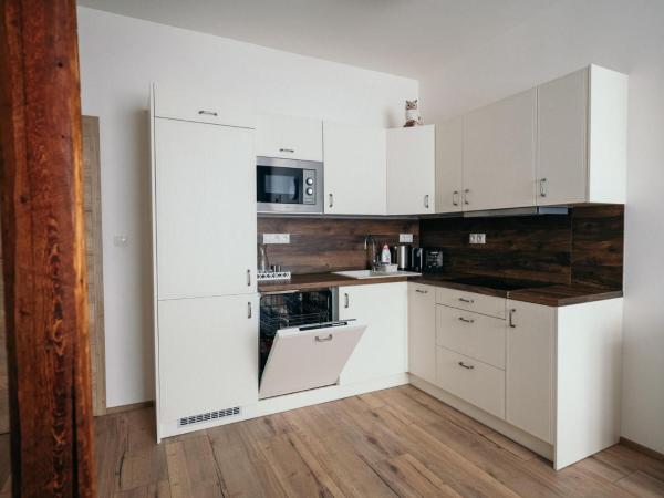 Vila Jáchymov : photo 10 de la chambre appartement 2 chambres