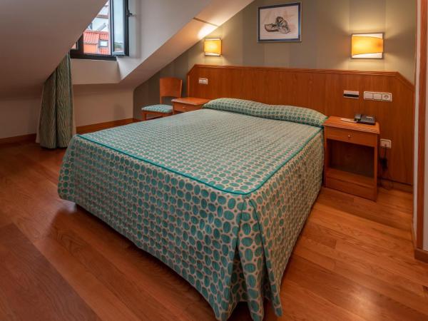 Astures : photo 2 de la chambre chambre double ou lits jumeaux