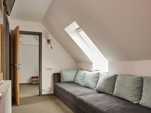 Gold House Pension : photo 1 de la chambre new year's offer - family room