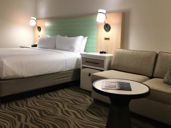 Wyndham Garden Lake Buena Vista Disney Springs® Resort Area : photo 2 de la chambre chambre lit king-size