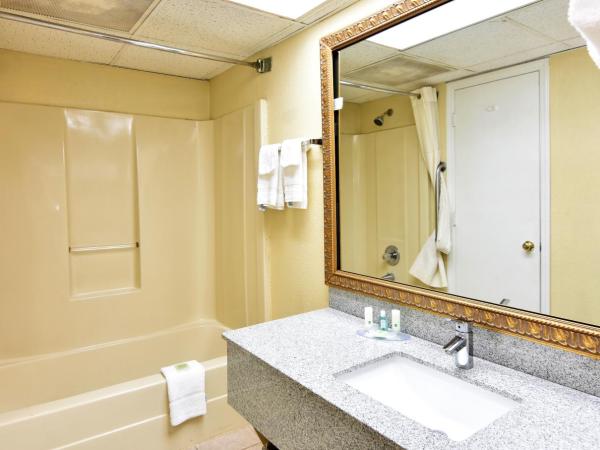 Rodeway Inn Harbison Area : photo 3 de la chambre chambre lit king-size - fumeurs