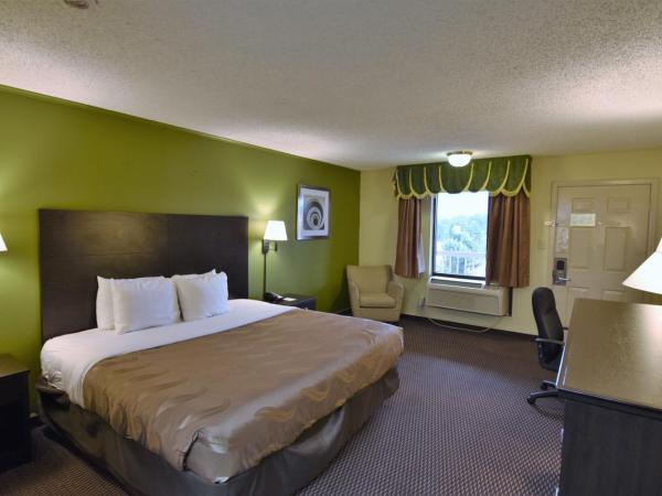 Rodeway Inn Harbison Area : photo 3 de la chambre chambre lit king-size - non-fumeurs
