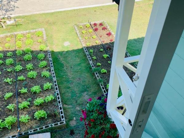 Baan Rabiengkao Hua Hin : photo 3 de la chambre suite supérieure