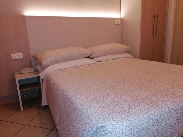 HOTEL ANDREA'S : photo 4 de la chambre grande chambre simple