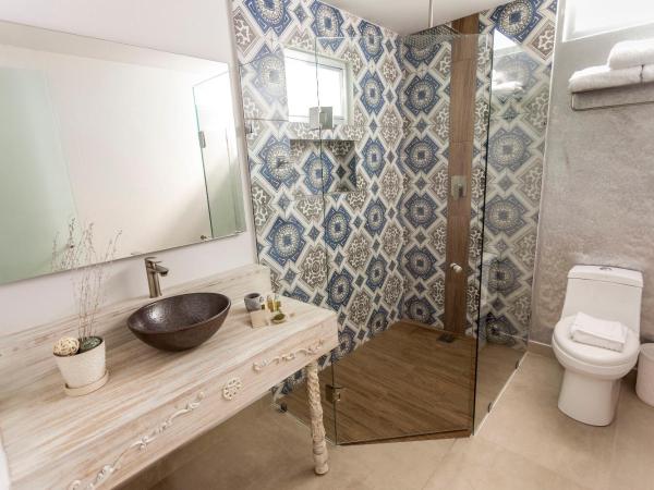 Hotel DC Boutique & SPA : photo 4 de la chambre chambre standard 2 lits