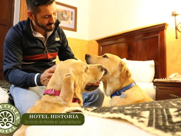 Hotel Historia : photo 2 de la chambre chambre double avec 2 lits doubles