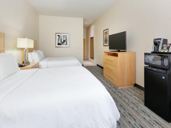 Holiday Inn Express & Suites San Antonio Brooks City Base, an IHG Hotel : photo 4 de la chambre chambre standard avec 2 lits queen-size