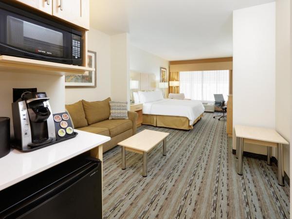 Holiday Inn Express & Suites San Antonio Brooks City Base, an IHG Hotel : photo 7 de la chambre suite lit king-size avec canapé-lit