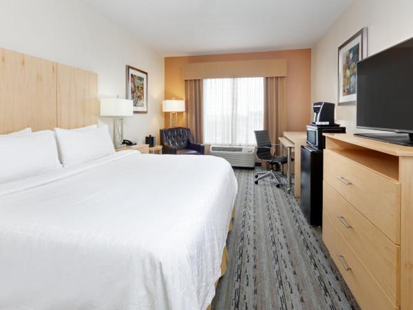 Holiday Inn Express & Suites San Antonio Brooks City Base, an IHG Hotel : photo 5 de la chambre chambre lit king-size standard