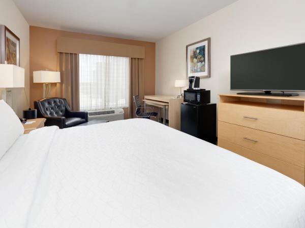 Holiday Inn Express & Suites San Antonio Brooks City Base, an IHG Hotel : photo 1 de la chambre chambre lit king-size standard