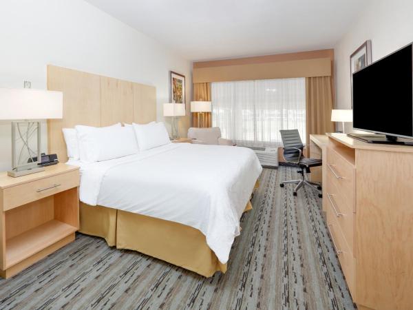 Holiday Inn Express & Suites San Antonio Brooks City Base, an IHG Hotel : photo 5 de la chambre suite lit king-size avec canapé-lit