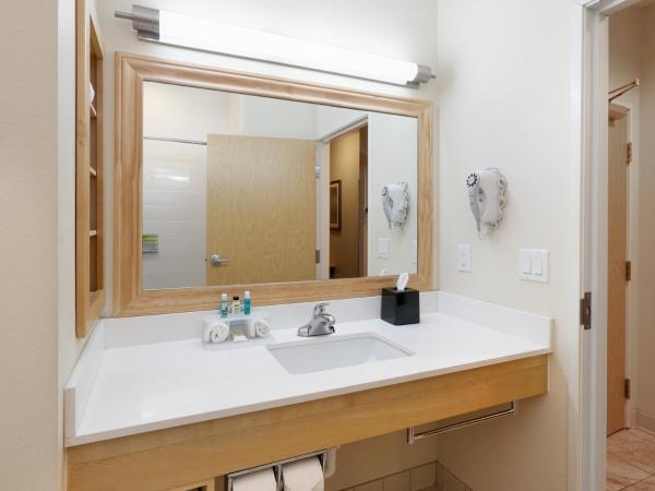 Holiday Inn Express & Suites San Antonio Brooks City Base, an IHG Hotel : photo 2 de la chambre chambre standard