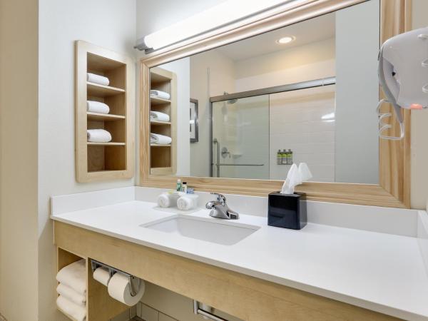 Holiday Inn Express & Suites San Antonio Brooks City Base, an IHG Hotel : photo 1 de la chambre chambre standard