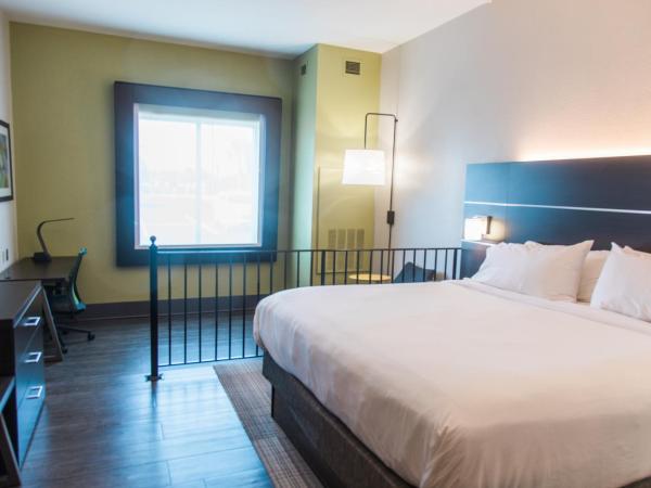 Holiday Inn Express Hotel & Suites Columbia-Fort Jackson, an IHG Hotel : photo 2 de la chambre chambre lit king-size standard