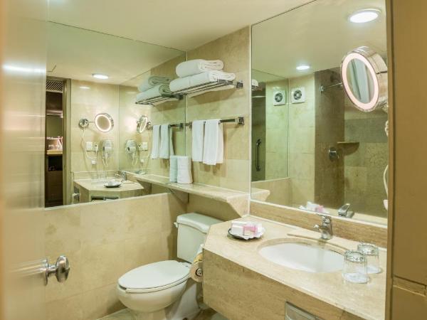 Holiday Inn Guadalajara Expo Plaza del Sol, an IHG Hotel : photo 3 de la chambre chambre lit king-size standard - Étage Élevé - vue sur ville