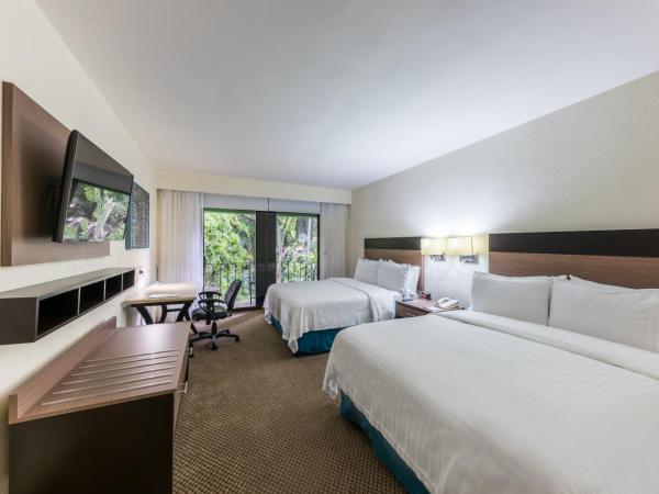 Holiday Inn Guadalajara Expo Plaza del Sol, an IHG Hotel : photo 4 de la chambre standard double room with two double beds and pool view