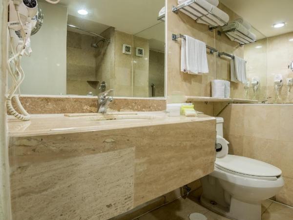 Holiday Inn Guadalajara Expo Plaza del Sol, an IHG Hotel : photo 4 de la chambre chambre lit king-size standard - Étage Élevé - vue sur ville