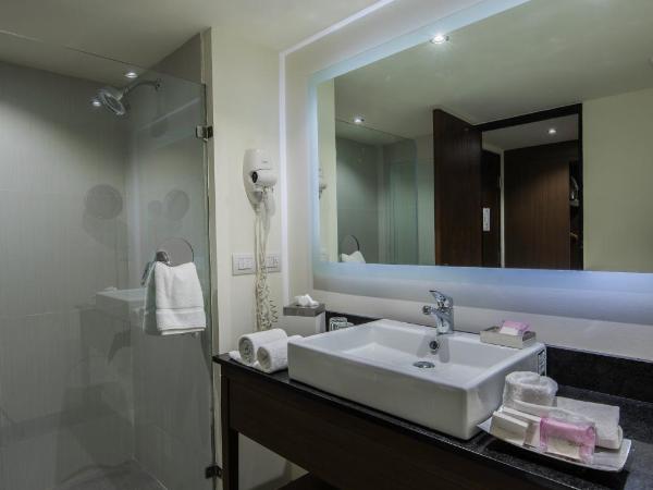 Holiday Inn Guadalajara Expo Plaza del Sol, an IHG Hotel : photo 5 de la chambre chambre lit king-size standard - Étage Élevé - vue sur ville