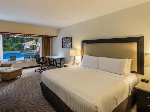 Holiday Inn Guadalajara Expo Plaza del Sol, an IHG Hotel : photo 2 de la chambre chambre king avec vue sur le jardin - non-fumeurs