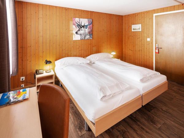 Jungfrau Lodge, Swiss Mountain Hotel : photo 2 de la chambre small double room with private bathroom (no view)