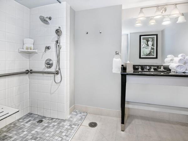 Hotel Indigo Dallas Downtown, an IHG Hotel : photo 2 de la chambre standard queen room with roll-in shower - mobility access