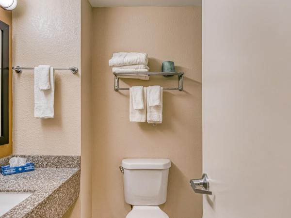 Trident Inn & Suites New Orleans : photo 4 de la chambre chambre avec 2 grands lits queen-size