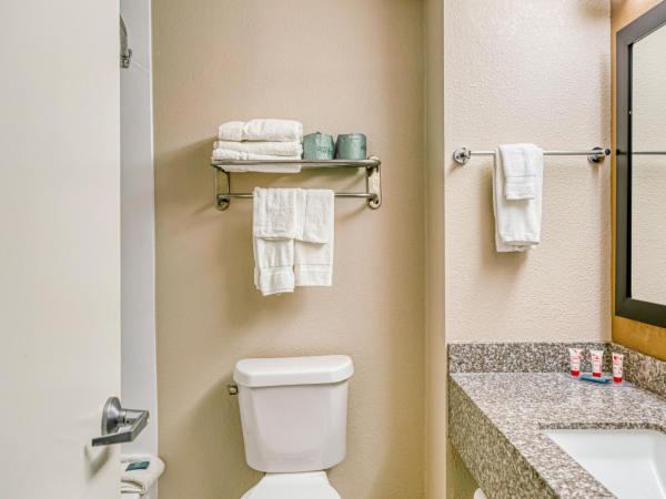 Trident Inn & Suites New Orleans : photo 4 de la chambre chambre lit king-size