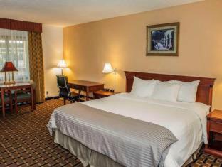 Travelodge by Wyndham Indianapolis Speedway : photo 8 de la chambre room #5831009