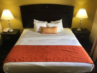 Best Western Plus Barsana Hotel & Suites : photo 9 de la chambre room #5888618