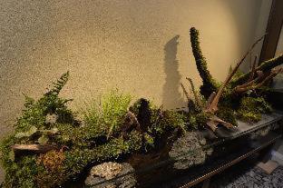 Gion Oyado Kikutani : photo 3 de la chambre room #563366211