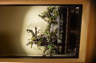 Gion Oyado Kikutani : photo 5 de la chambre room #563366213