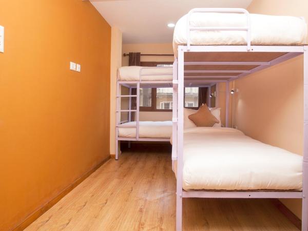 Holiday Hostel : photo 3 de la chambre lit dans dortoir pour femmes de 4 lits