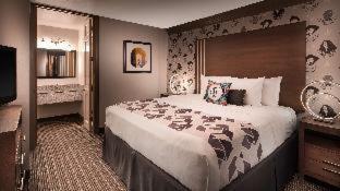 Aiden Austin City Hotel : photo 8 de la chambre room #18188427