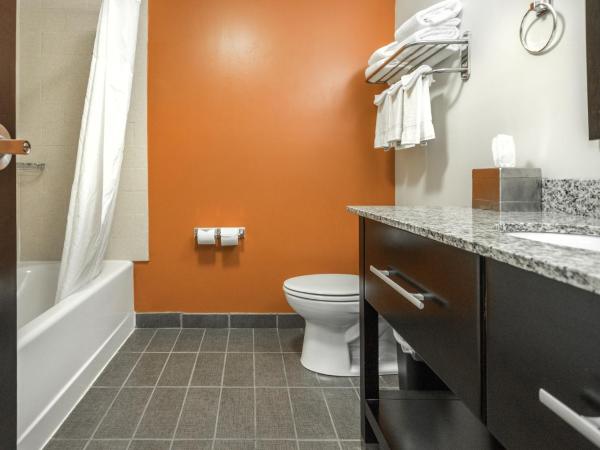 Sleep Inn & Suites And Conference Center Downtown : photo 3 de la chambre chambre standard avec 2 lits queen-size - non-fumeurs