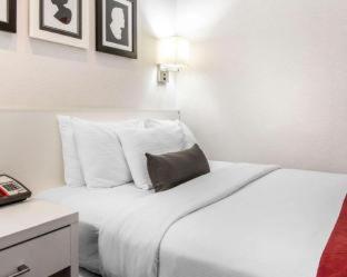 The Moore : photo 2 de la chambre room #2263908