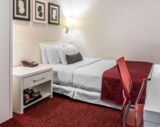 The Moore : photo 4 de la chambre room #2263908