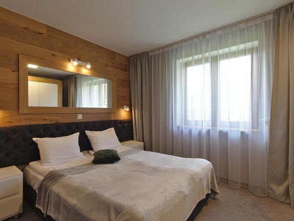 Apartamenty Forma Tatrica : photo 5 de la chambre appartement 1 chambre confort avec cheminée et balcon ou terrasse