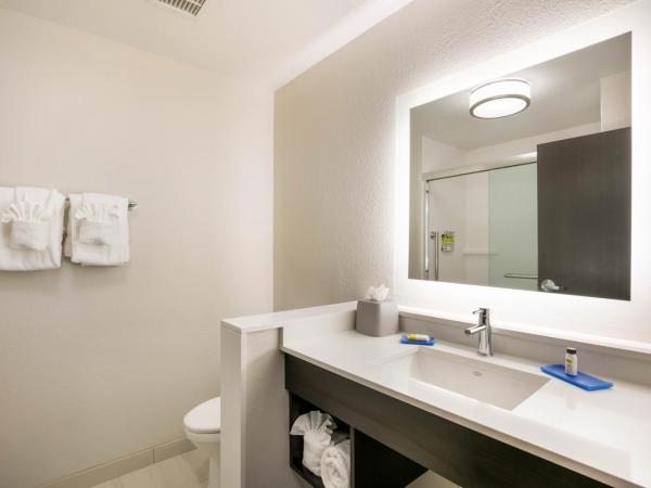 Holiday Inn Express & Suites Jacksonville - Town Center, an IHG Hotel : photo 4 de la chambre chambre lit king-size loisirs - non-fumeurs