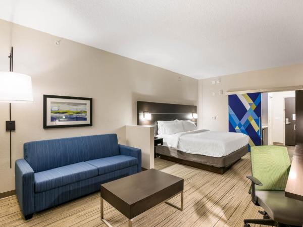 Holiday Inn Express & Suites Jacksonville - Town Center, an IHG Hotel : photo 2 de la chambre suite lit king-size – non-fumeurs