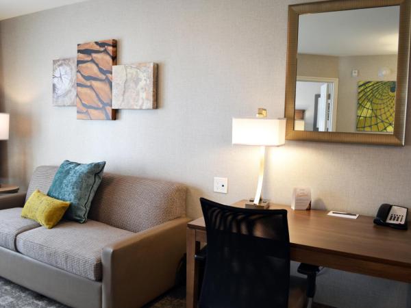 Staybridge Suites - Red Deer North, an IHG Hotel : photo 5 de la chambre suite 1 chambre lit king-size