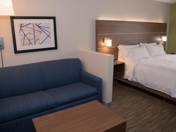 Holiday Inn Express & Suites Colorado Springs North, an IHG Hotel : photo 6 de la chambre chambre lit king-size exécutive avec canapé-lit