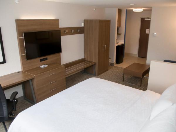 Holiday Inn Express & Suites Colorado Springs North, an IHG Hotel : photo 3 de la chambre chambre lit king-size exécutive avec canapé-lit