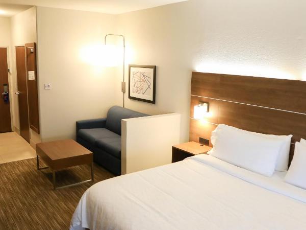 Holiday Inn Express & Suites Colorado Springs North, an IHG Hotel : photo 5 de la chambre chambre lit king-size exécutive avec canapé-lit