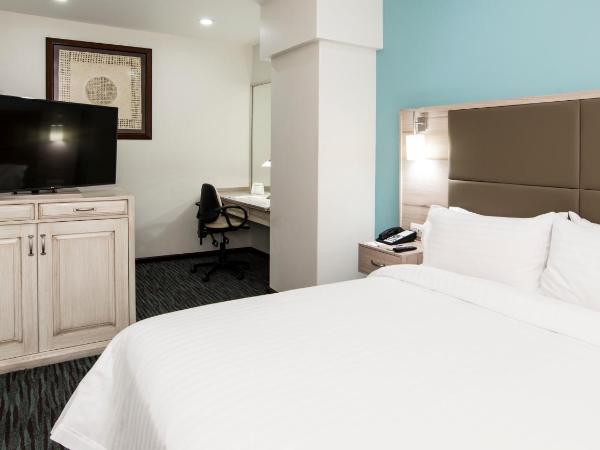Holiday Inn & Suites Mexico Zona Reforma, an IHG Hotel : photo 3 de la chambre chambre standard lit queen-size
